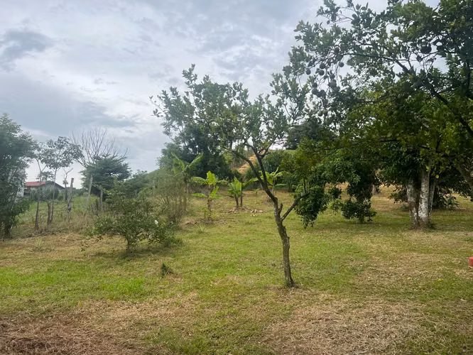 Finca con Casa en Cebadilla, Turrúcares, Alajuela - Imagen 6