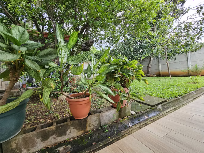 Casa Financiada de una planta con jardines en Atenas, Alajuela - Imagen 18