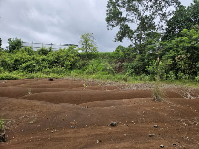 Venta de terreno en Pénjamo, San Carlos - Imagen 5