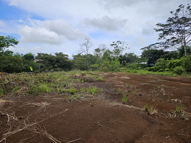 Venta de terreno en Pénjamo, San Carlos - Imagen 6