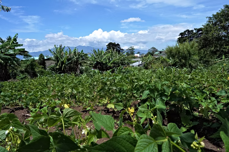 Hermoso Lote en Concepción de San Rafael, Heredia - Imagen 6