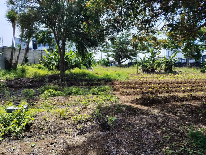 Hermoso Lote en Concepción de San Rafael, Heredia - Imagen 3