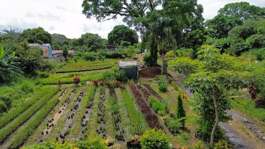 Se Vende Propiedad con Amplio Terreno en Barrio San José, Alajuela KS