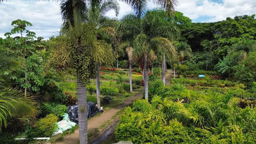 Se Vende Propiedad con Amplio Terreno en Barrio San José, Alajuela KS