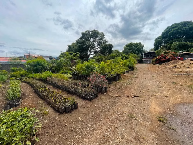 Se Vende Propiedad con Amplio Terreno en Barrio San José, Alajuela KS