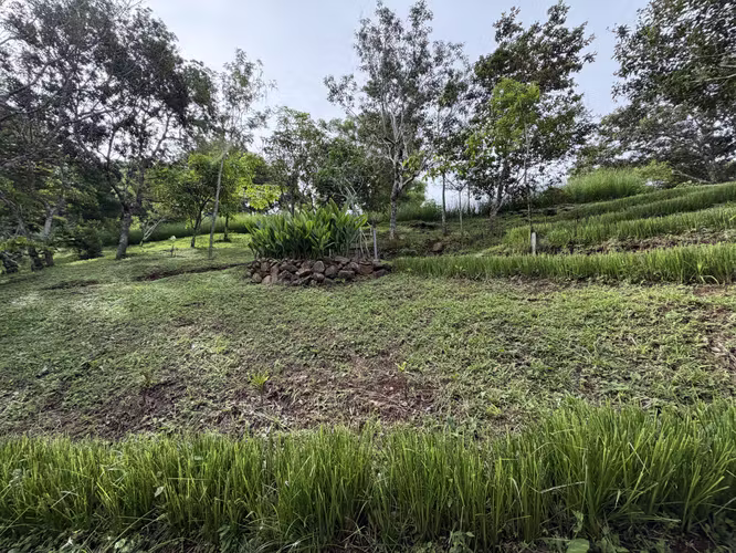 Venta de Quinta de montaña en San Ramon. - Imagen 16