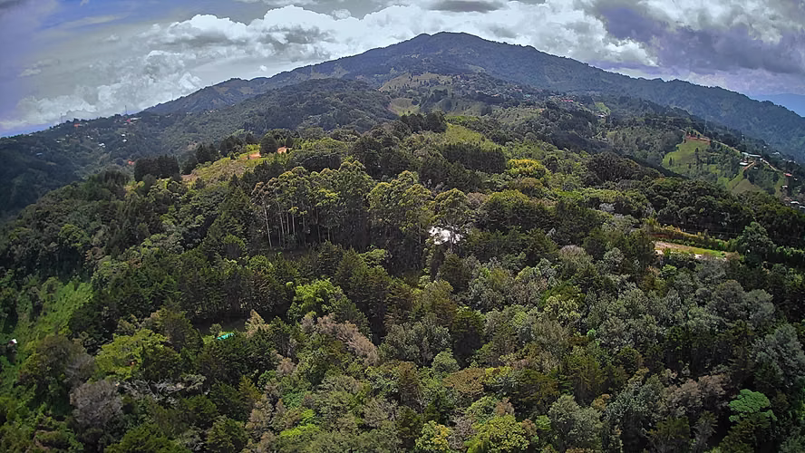 FINCA ECOLÓGICA Y CENTRO DE EVENTOS EN VENTA – TARBACA, ASERRÍ, SAN JOSÉ - Imagen 12