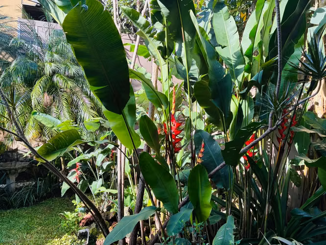 Venta de Casa de una planta en Los Yoses - Imagen 4