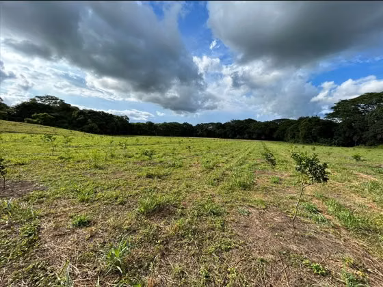 FINCA TURISTICA EN VENTA EN GUANACASTE - Imagen 9