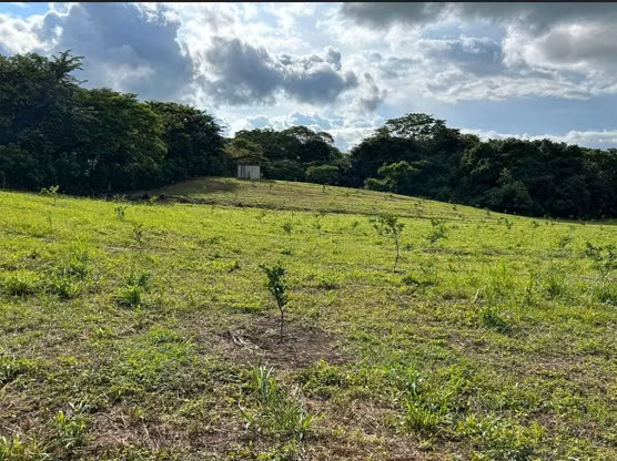 FINCA TURISTICA EN VENTA EN GUANACASTE - Imagen 8
