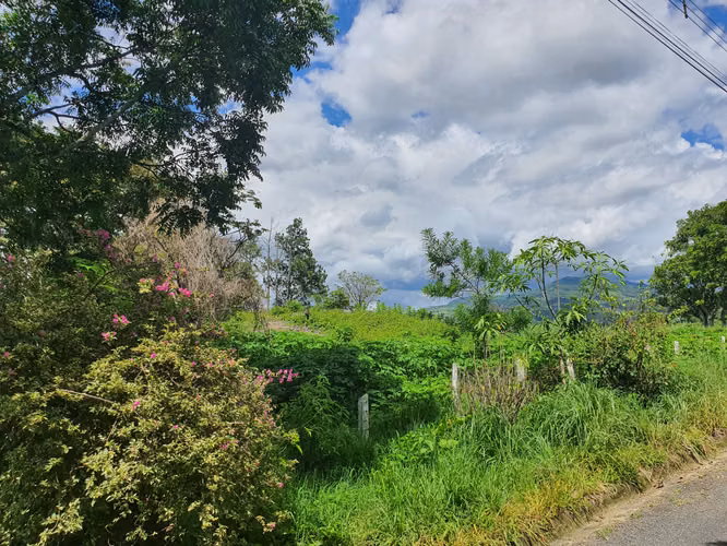 Vista Épica  Ciudad Colón   increíble LOTE en zona campestre - Imagen 6