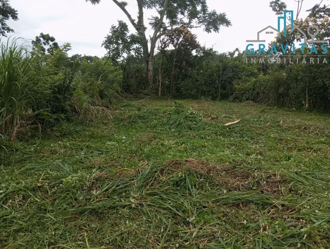 Lotes en venta en Florencia calle Santa Clara ID 1731 - Imagen 6