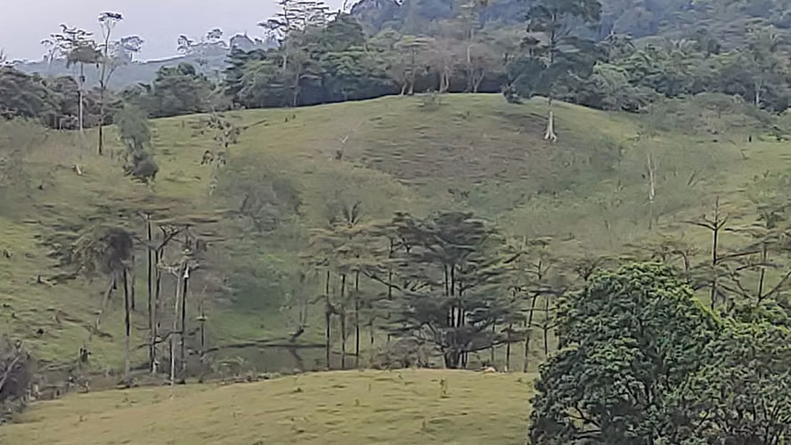 Venta de Fincas para Ecoturismo, Ángeles de San Ramón, Alajuela - Imagen 9