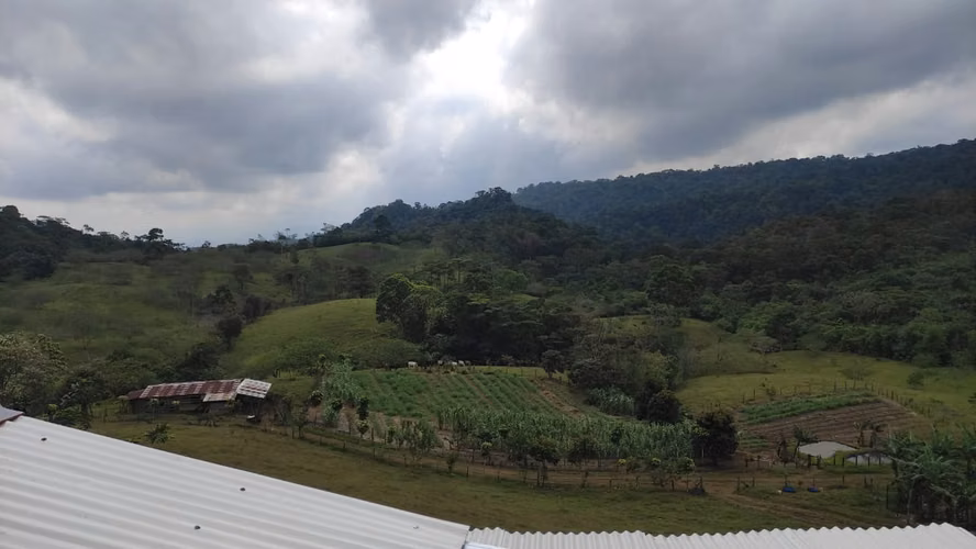Venta de Fincas para Ecoturismo, Ángeles de San Ramón, Alajuela - Imagen 10