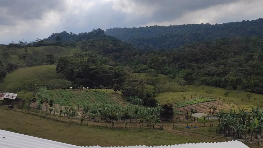 Venta de Fincas para Ecoturismo, Ángeles de San Ramón, Alajuela - Imagen 6