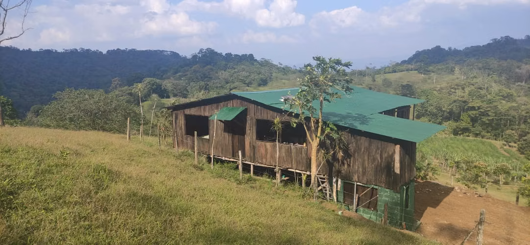 Venta de Fincas para Ecoturismo, Ángeles de San Ramón, Alajuela - Imagen 3