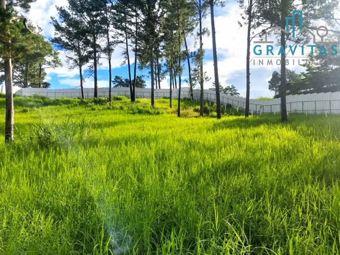 Land for sale in Pavas (3700 m2) ID 1678