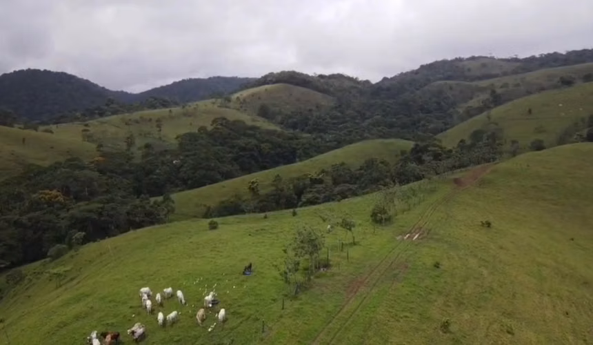 Venta de Propiedad entre San Ramón y San Carlos, Alajuela - Imagen 4