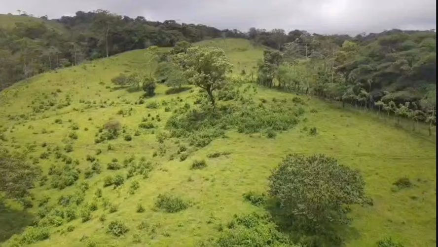 Venta de Propiedad entre San Ramón y San Carlos, Alajuela - Imagen 11