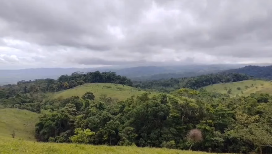 Venta de Propiedad entre San Ramón y San Carlos, Alajuela - Imagen 2