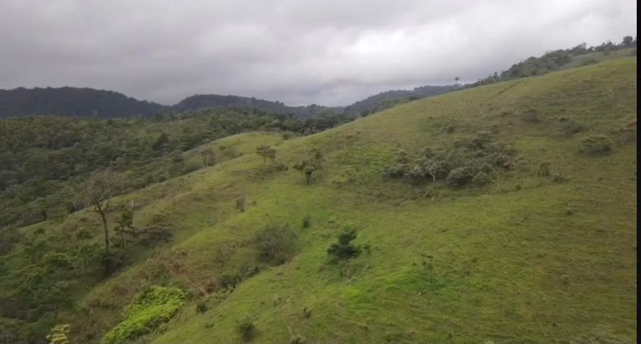 Venta de Propiedad entre San Ramón y San Carlos, Alajuela - Imagen 13