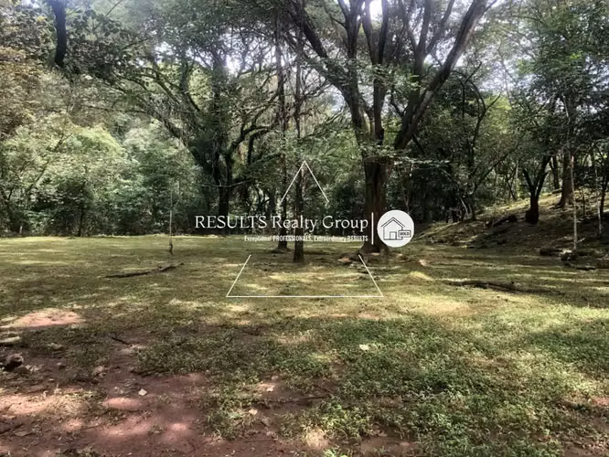 NUEVO! 4.5 ha Industrial o Tourism con Energia Trifasica - Imagen 8