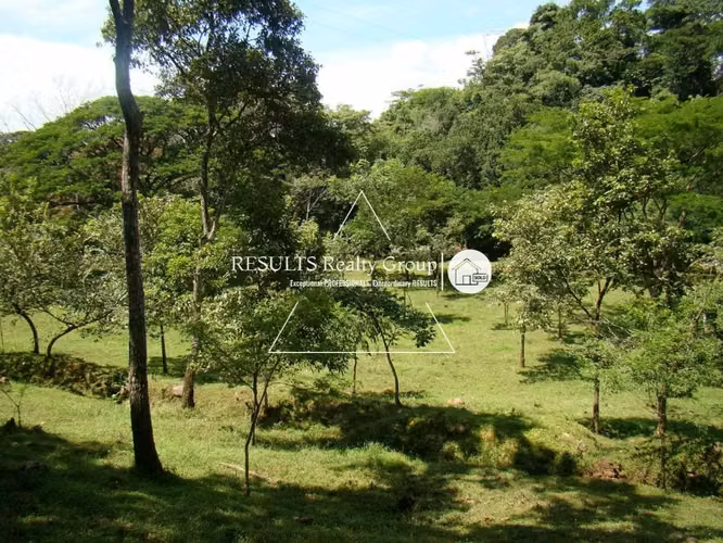NUEVO! 4.5 ha Industrial o Tourism con Energia Trifasica - Imagen 9