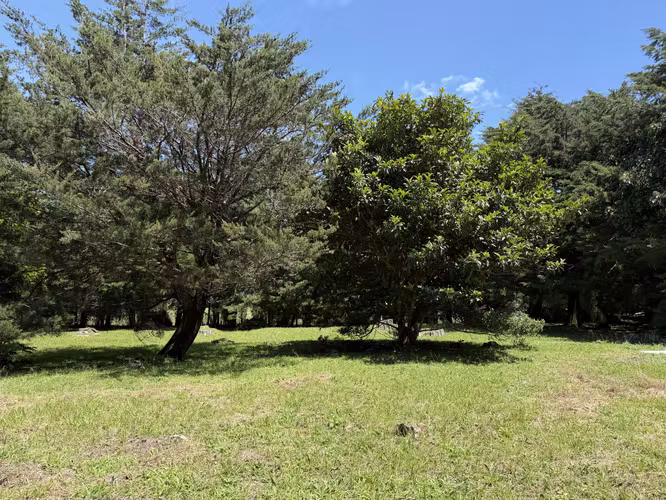 Spectacular property near the Leaf Forest, 2 flat frontages