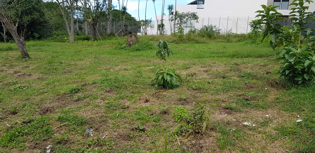 Venta de Propiedad en San Rafael de Montes de Oca, San José - Imagen 2