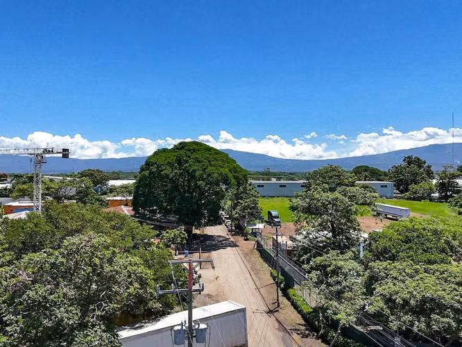 VENTA DE PROPIEDAD INDUSTRIAL PARA INVERSIÓN - Imagen 2