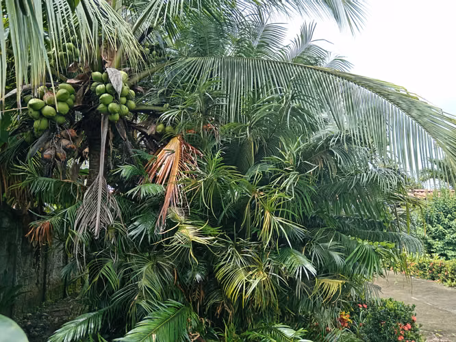 Venta de Lote en Parrita, Quepos, Puntarenas