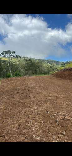 NARANJO 10,000 m2 - Imagen 4