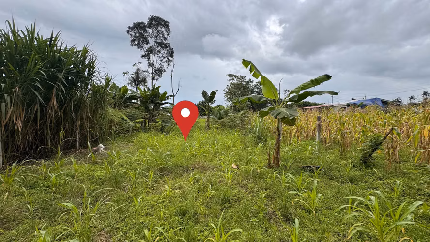 Venta de Terreno Residencial en Río Frío de Sarapiquí (AD) - Imagen 3