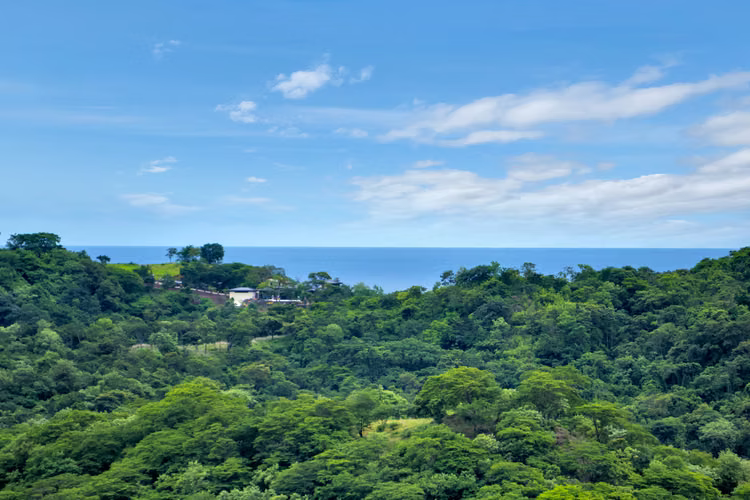 38 Hectáreas al frente de Zapotal Golf & Beach Club - Imagen 7