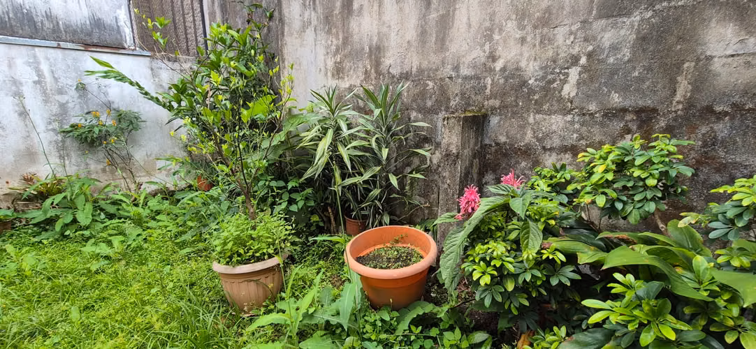 Casa de dos plantas en Sabanilla 26878 - Imagen 6