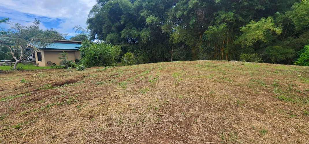 Lote en pequeña comunidad cerrada en Naranjo - Imagen 14