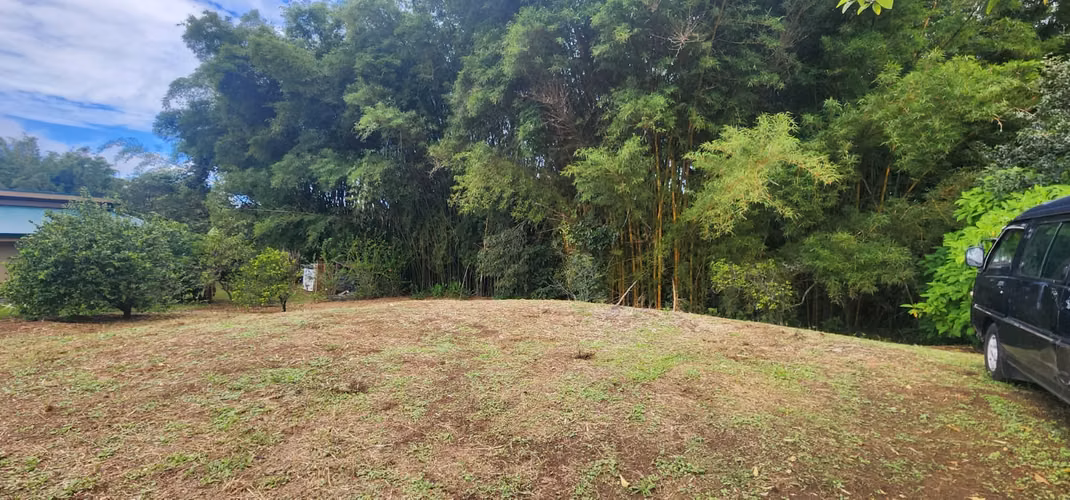 Lote en pequeña comunidad cerrada en Naranjo - Imagen 10