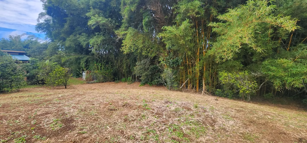 Lote en pequeña comunidad cerrada en Naranjo - Imagen 8