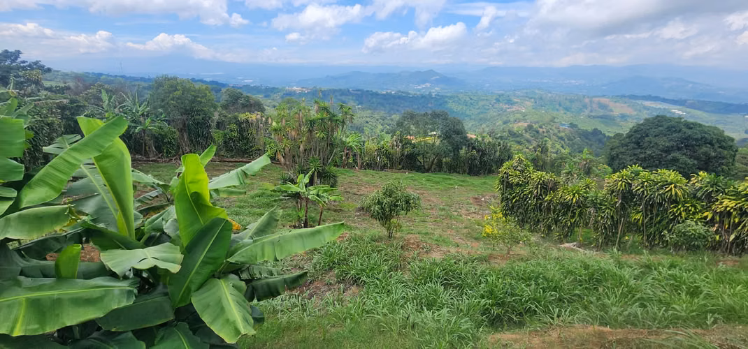 Hermoso lote en clima fresco y con vistas espectaculares - Imagen 7