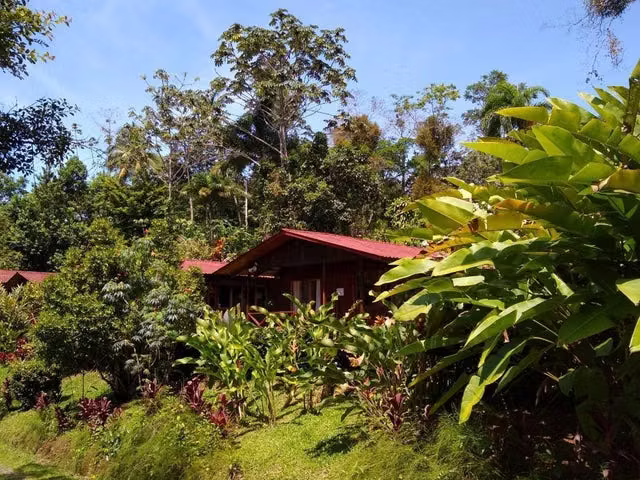 Venta de Hotel AMUEBLADO en San Ramón de Alajuela. 24-671 - Imagen 7