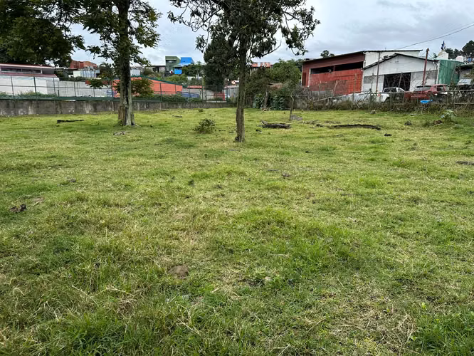 Terreno con uso de suelo mixto en venta, San Nicolás, Cartago! P543 - Imagen 8