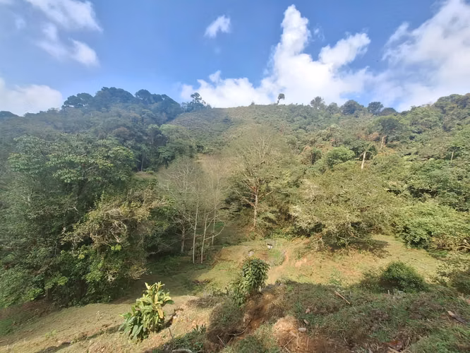 Propiedad Cerro de la Muerte  RA