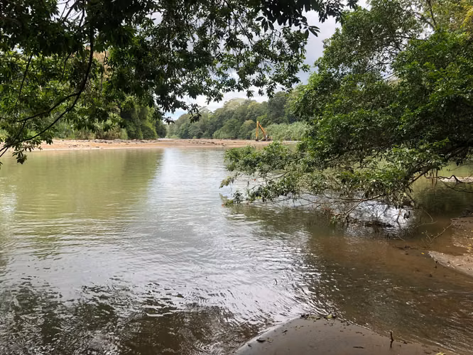 Finca en Venta 8 Hectáreas en San Carlos – Acceso al Río – Ideal Ganadería o Ecoturismo