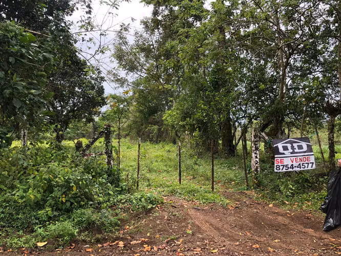 Finca en Venta 8 Hectáreas en San Carlos – Acceso al Río – Ideal Ganadería o Ecoturismo - Imagen 4