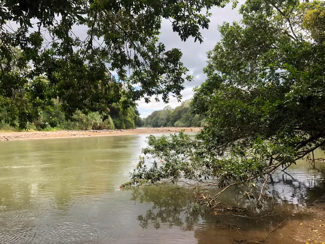 Finca en Venta 8 Hectáreas en San Carlos – Acceso al Río – Ideal Ganadería o Ecoturismo - Imagen 12