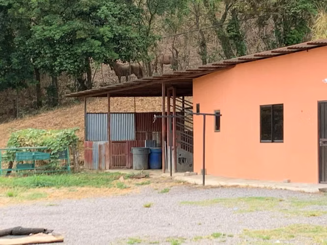 Terreno Con Alta Densidad para desarrollo - Sobre Calle principal. - Imagen 5
