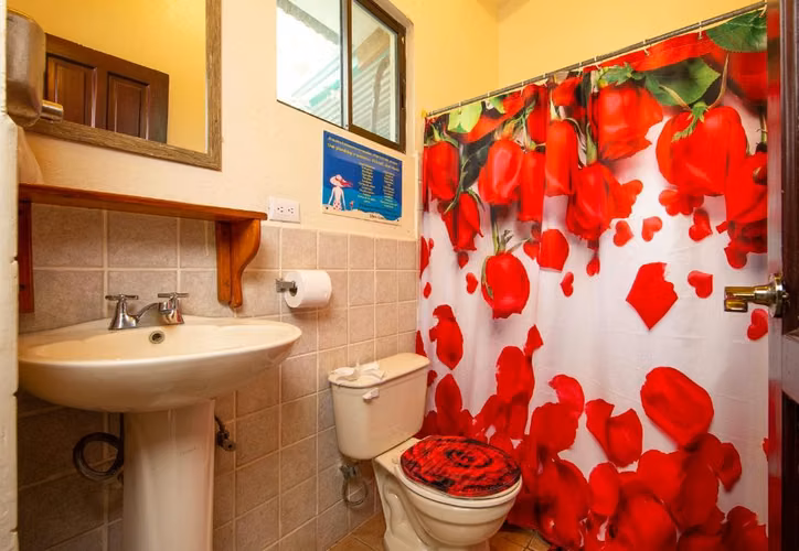 Hotel Diversion Tropical | Playa Conchal, Guanacaste - Imagen 7