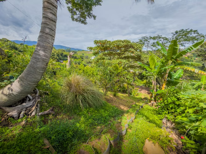 Finca Orgánica, Vista al Valle — Construya o Cultive-Cajon Grecia
