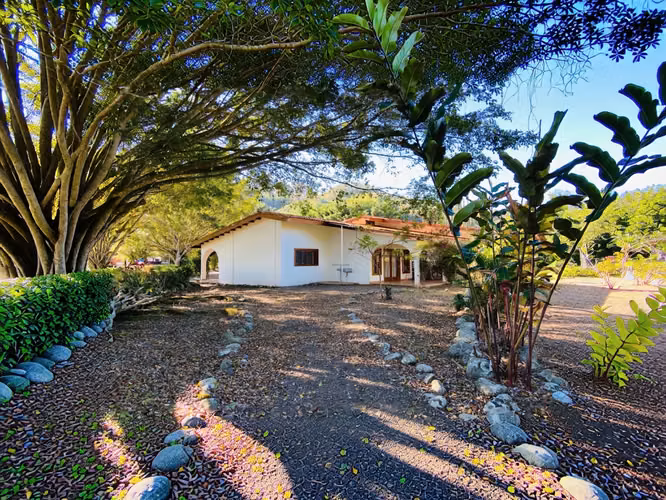 VENTA DE FINCA DE 31,95 HECTÁREAS EN OROSI, PARAÍSO, CARTAGO - Imagen 10