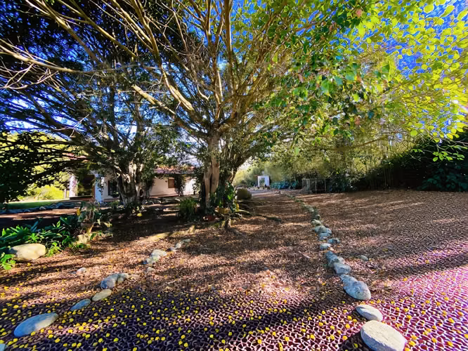 VENTA DE FINCA DE 31,95 HECTÁREAS EN OROSI, PARAÍSO, CARTAGO - Imagen 3
